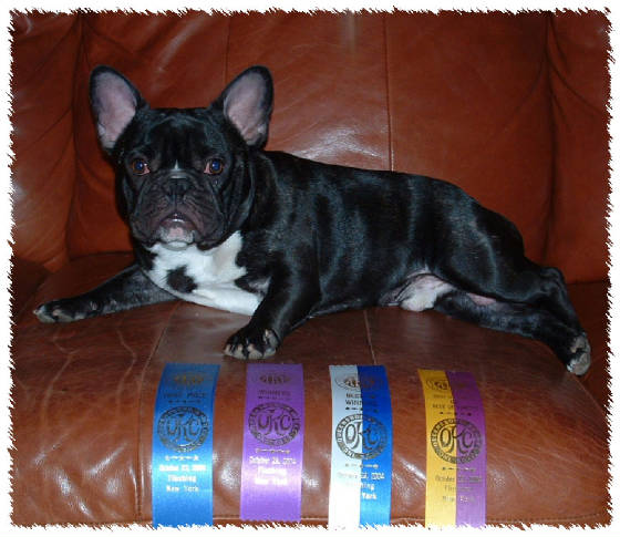 joeylayingdownribbons.jpg