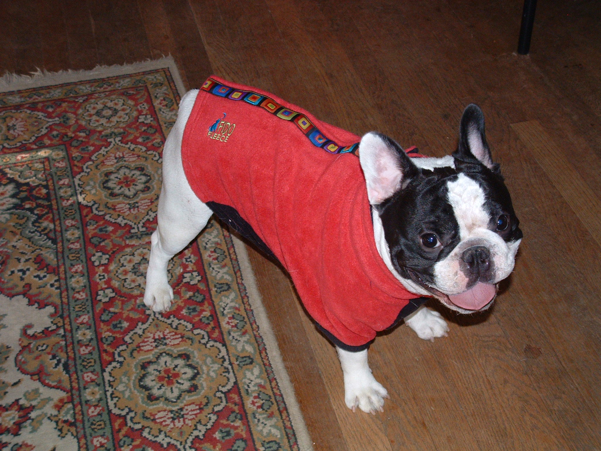 simonfidofleece.jpg
